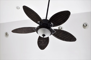 Ceiling Fan Installation in Seattle